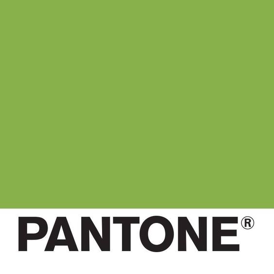 Pantone Colours 2017